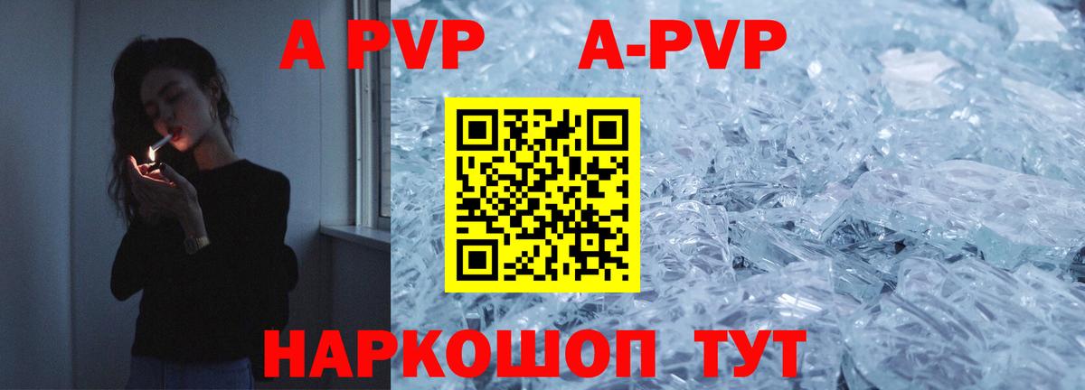 Альфа ПВП СК КРИС Краснодар