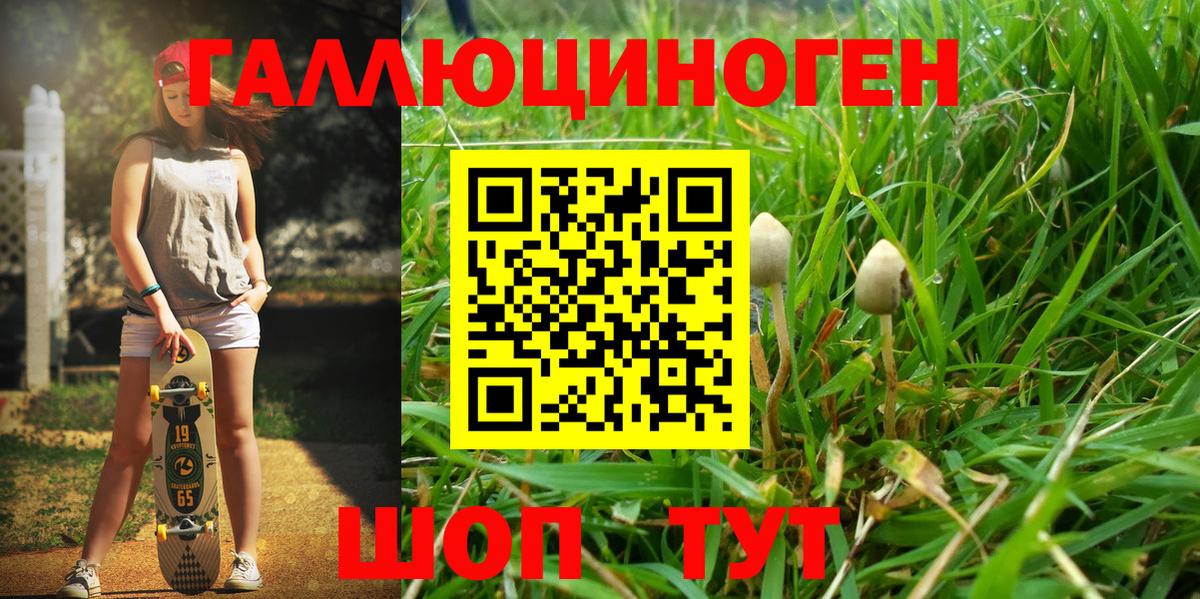 Краснодар  Псилоцибиновые грибы Cubensis  Вход с VPN 