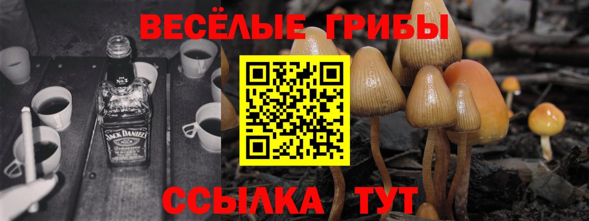 Псилоцибиновые грибы Magic Shrooms Краснодар